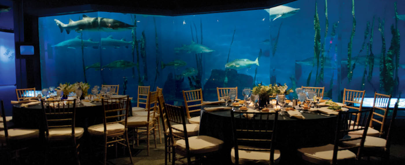The Maritime Aquarium CulinArt Catering Collection Venue