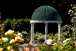 The Rose Garden