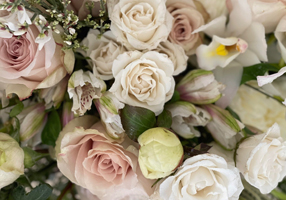 Adonia Floral Design